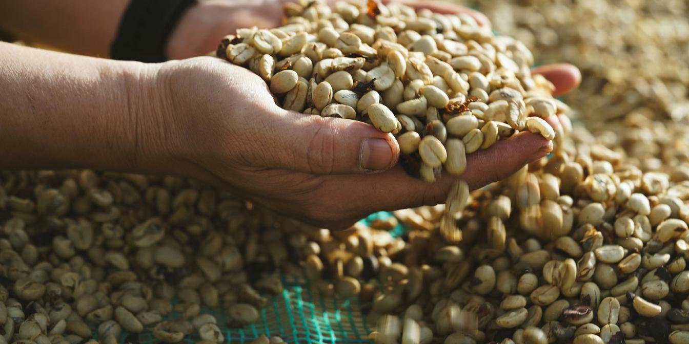 Term premium educational chart for forex and crypto traders