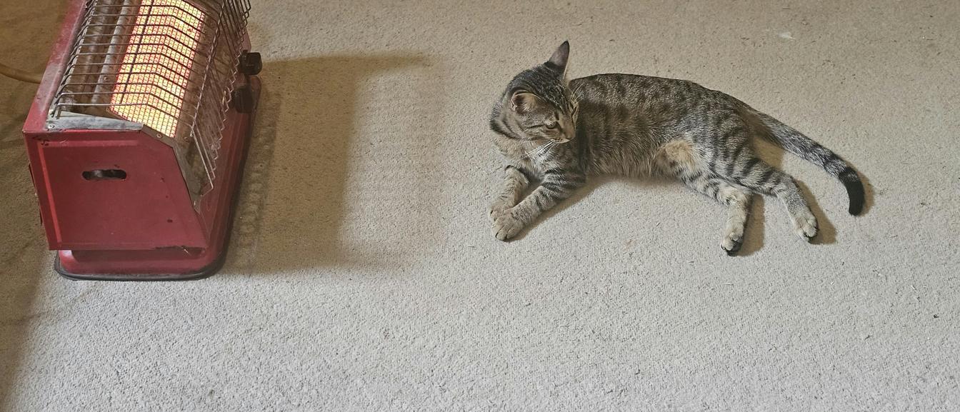 Market chart and macro headlines for XAUUSD this week